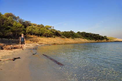 France, Var (83), Iles d'Hyères, parc national de Port Cros, Ile de Port-Cros, plage du Sud-ouest