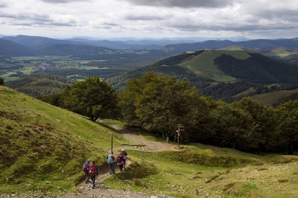 Espagne, Pays-Basque, Navarre, chemin de Saint-Jacques de Compostelle dans la descente vers Roncevaux