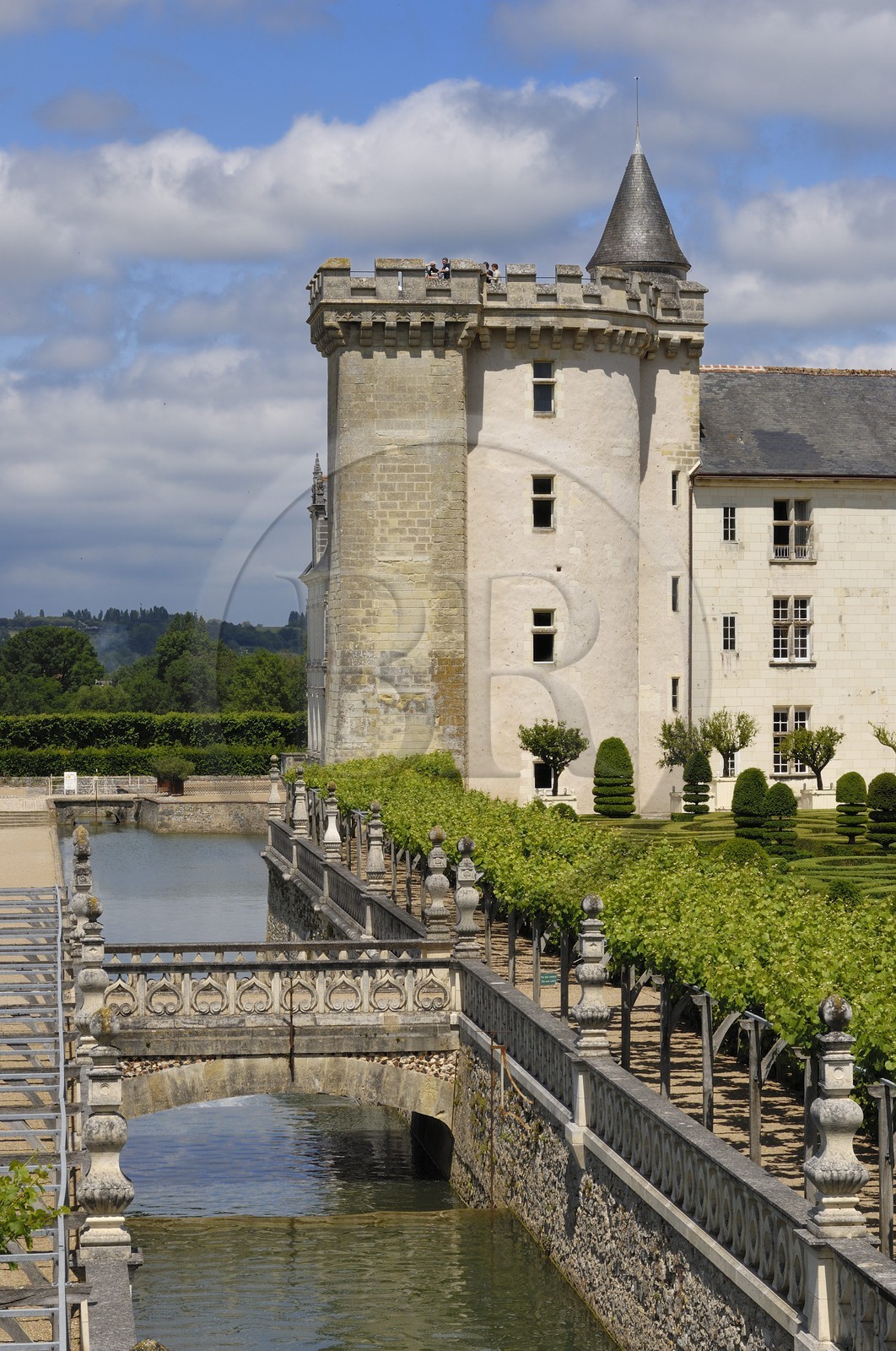 France, Indre-et-Loire (37), Vallée de la Loire classée patrimoine mondial de l'UNESCO, Villandry, le château de Villandry et ses jardins, propriété d'Henri et Angélique Carvallo