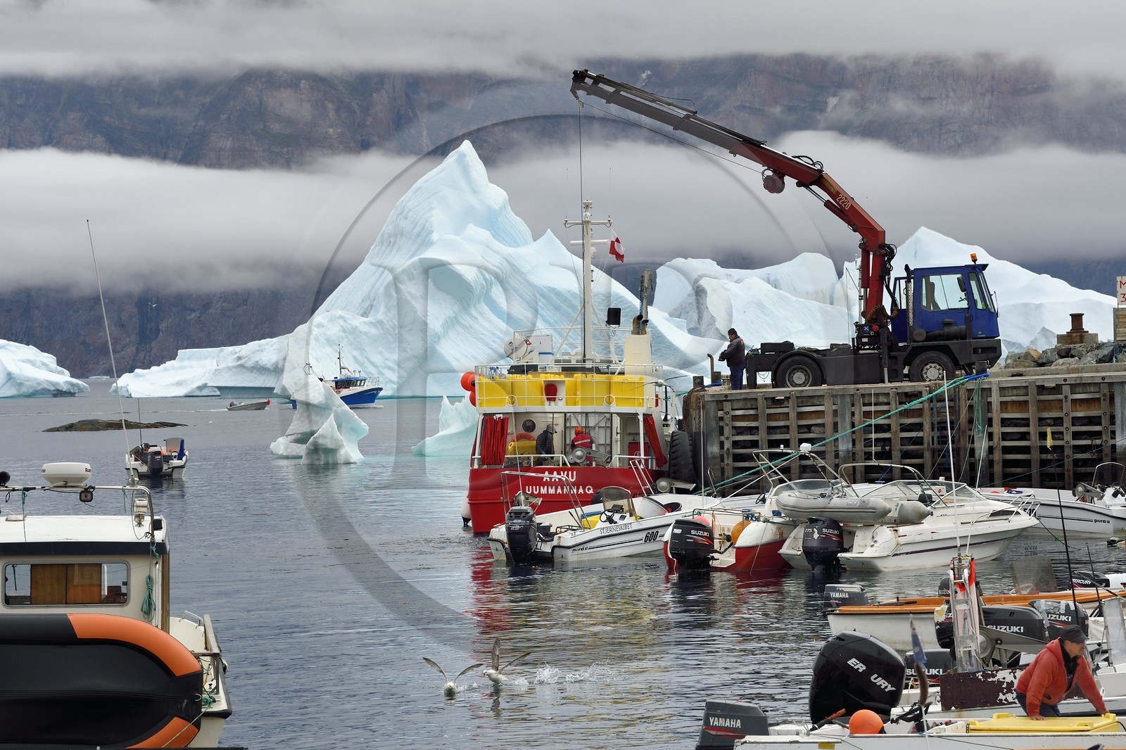 Groenland, cote ouest, Uummannaq, bateau de pêche déchargeant dans le port et icebergs en arrière plan