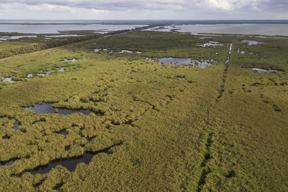 France, Gard (30), les marais de la Petite Camargue à Gallician commune de Vauvert (vue aérienne)