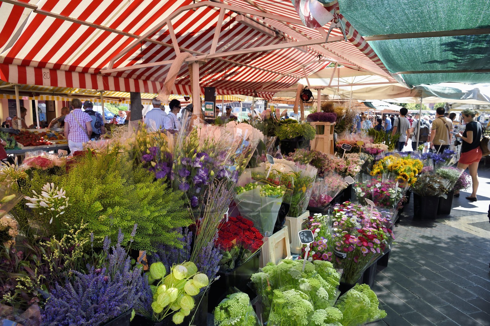 France, Alpes-Maritimes (06), Nice, vieille ville, marché du cours Saleya, marché aux fleurs