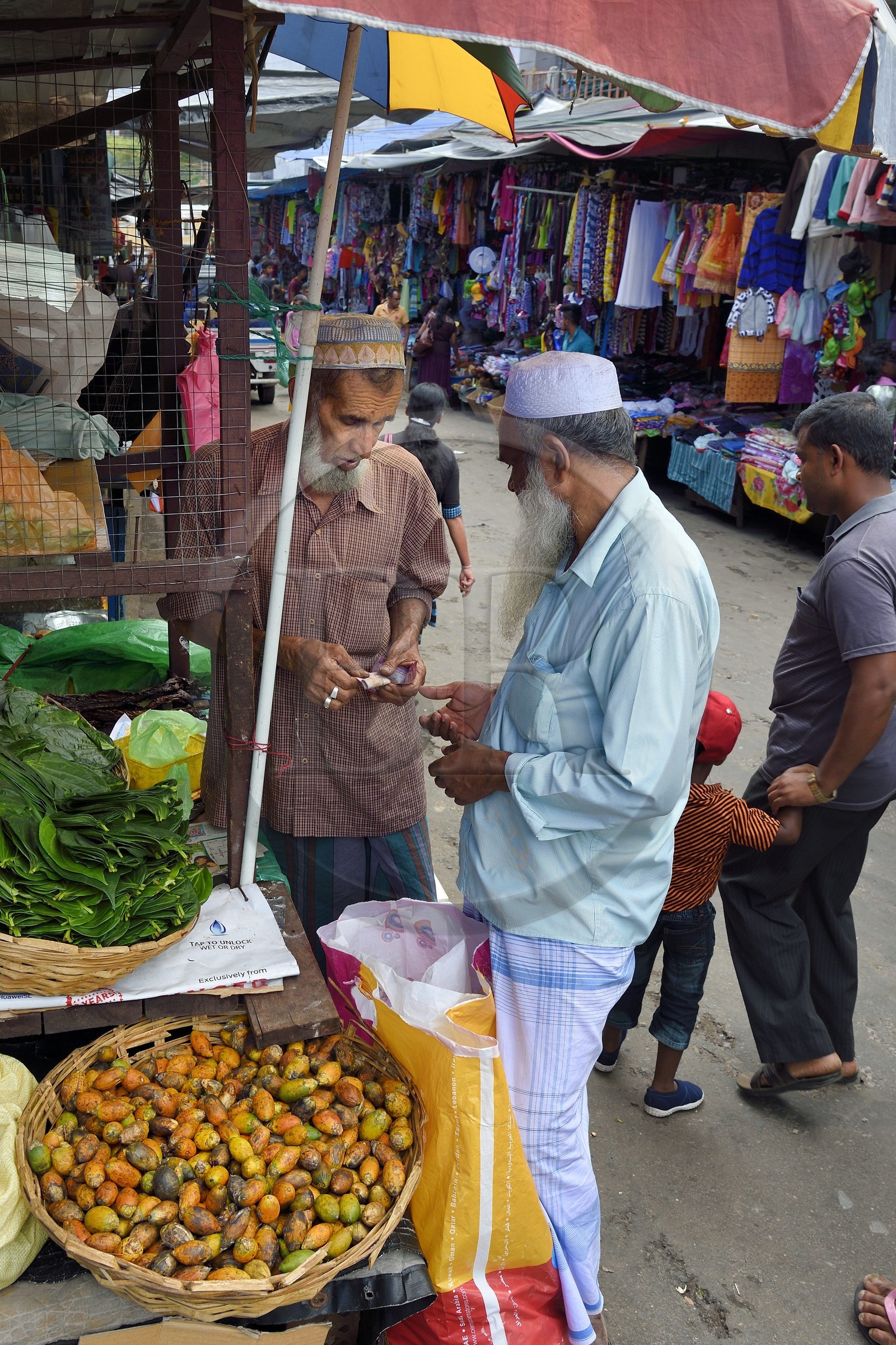 Sri Lanka, Province d'Uva, Bandarawela, vendeur musulman ambulant de feuilles et de noix de bétel
