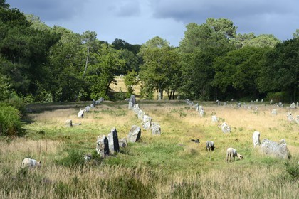 France, Morbihan, Carnac, row of megalithic standing stones at Kermario