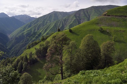 Géorgie, Kakheti, region de Touchétie, paysage de la très spectaculaire piste qui relie Telavi à Omalo en passant par le Col d'Abano à 2826 mètres