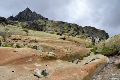 France, Alpes-Maritimes, parc national du Mercantour (Mercantour National Park), the Vallee des Merveilles (Valley of Wonders) scattered with thousands of rupestral engravings of the Bronze Age, hornlike anthropomorphized figure engraved on the so called rock of The Sorcerer on the chiappes yellow schist flagstones