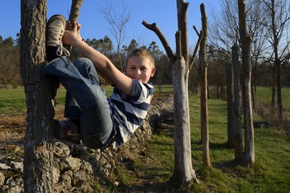 France, Var (83), Provence Verte, Bras, vers Saint-Maximin-la-Sainte-Baume, la maison d'hôtes Le Peyrourier, une campagne en Provence