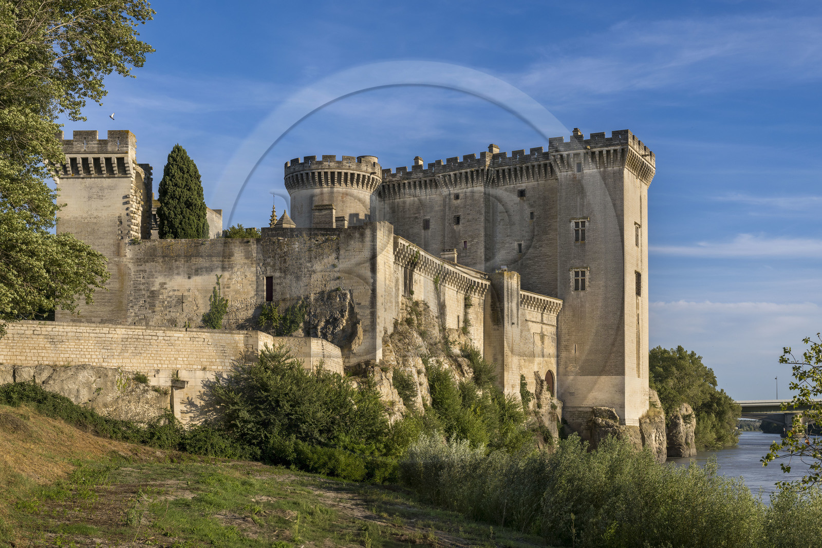 France, Bouches-du-Rhône (13), Tarascon, le chateau du roi René datant du XVe siècle en bordure du Rhone