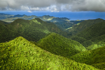 Caribbean, Dominica Island, Morne Trois Pitons National Park listed as World heritage by UNESCO,  the tropical forest at the foot of Morne Trois Piton and the East coast in the background (aerial view)