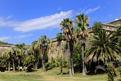 France, Hérault (34), Montpellier, les fossés de la Citadelle ont été aménagés en jardins plantés de palmiers