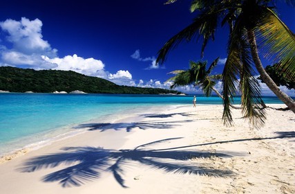 Caribbean sea, St Vincent and the Grenadines, Tobago Cays archipelago, beach of one of many uninhabited island