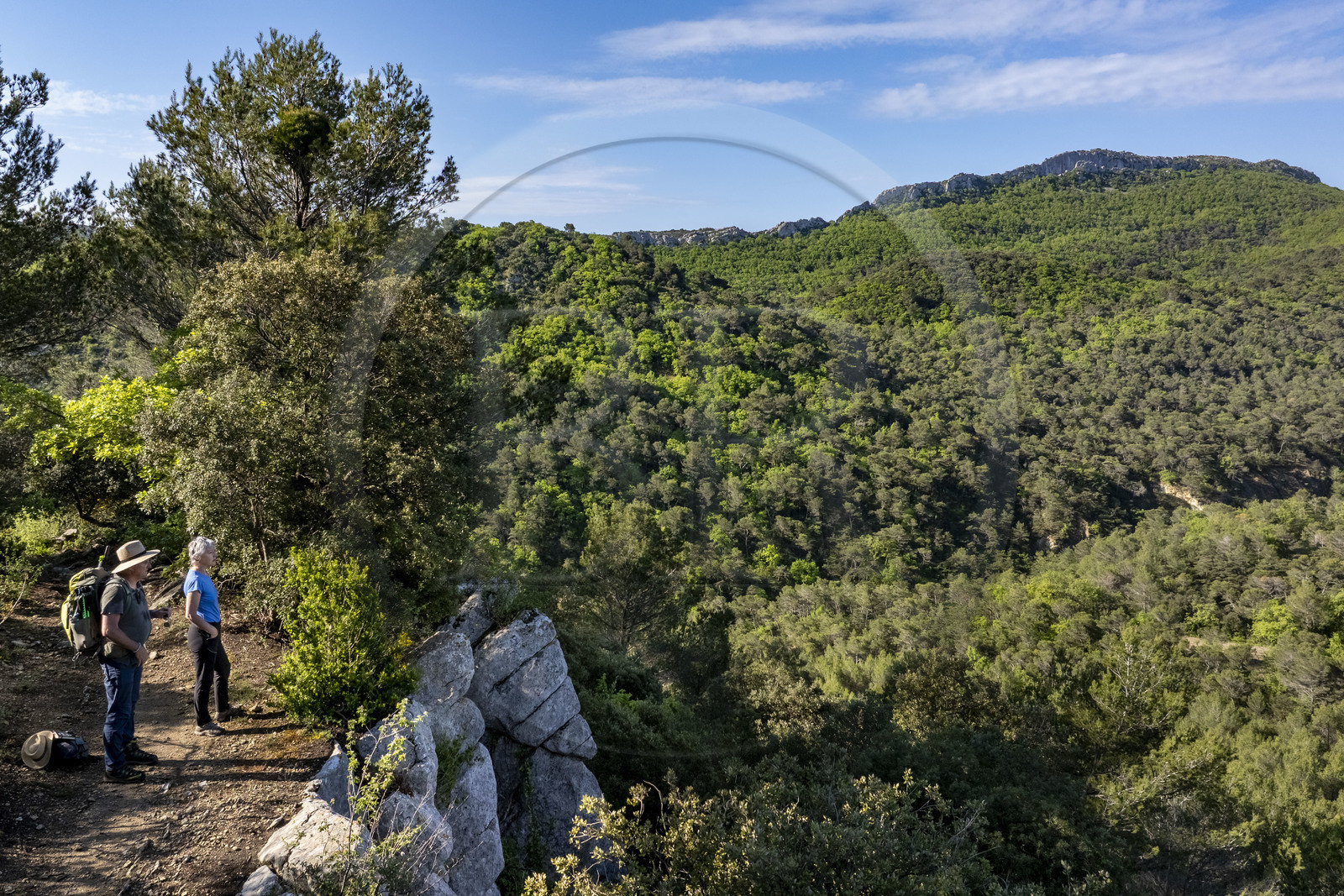 France, Vaucluse (84), Dentelles de Montmirail, Crestet, la crête de Saint-Amand vue du Sud depuis le GR de Pays vers la Croix de Verrière (vue aérienne) France, Vaucluse (84), Dentelles de Montmirail, Crestet, la crête de Saint-Amand vue du Sud depuis le GR de Pays vers la Croix de Verrière (vue aérienne)