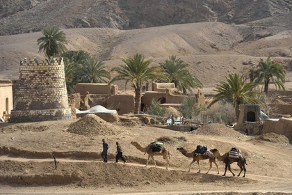 Iran, Province d'Ispahan, désert du Dasht-e Kavir, l'oasis d'Arousan dans la région de Khur et Biabanak