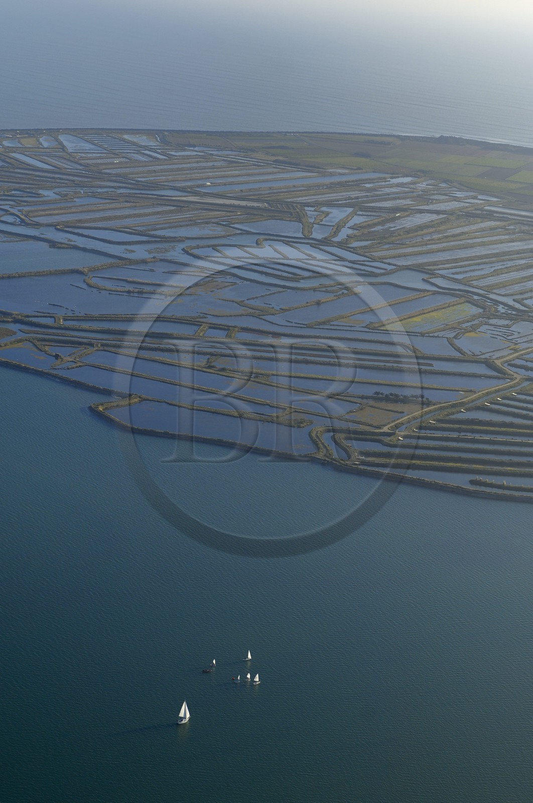 France, Charente-Maritime (17), ile de Ré, Fier d'Ars (vue aérienne)