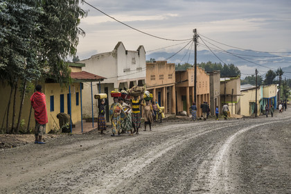 Rwanda, Province du Nord, District de Musanze (Ruhengeri), hameau de Garuka et les montagnes des Virunga en arrière plan
