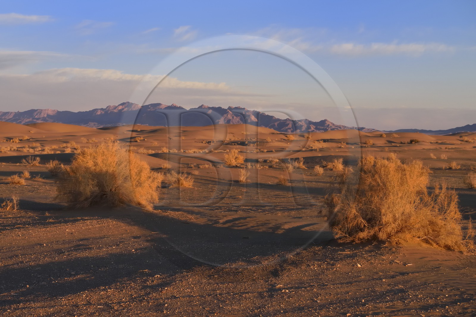 Iran, Province d'Ispahan, désert du Dasht-e Kavir, Mesr dans la région de Khur et Biabanak, le désert au soleil couchant