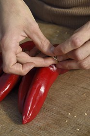 France, Pyrénées-Atlantiques (64), Pays-Basque, Espelette, la productrice de piments d'Espelette AOP Virginie Curutchet corde le piment