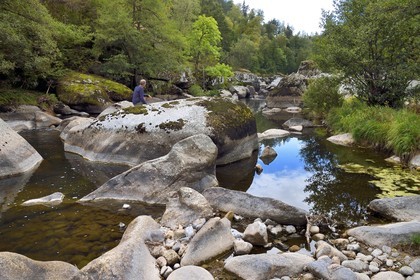 France, Lozere (48), Parc naturel régional de l'Aubrac (Aubrac Regional Nature Park), Saint Juery, the gorges of Bes river