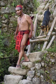 Philippines, province d'Ifugao, les rizières en terrasses de Banaue autour du village de Batad, classées Patrimoine Mondial de l'UNESCO, le guide Adolpho revetu du costume traditionnel Ifugao