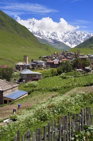 Georgia, Upper Svaneti (Zemo Svaneti), village of Ushguli, listed as World heritage by UNESCO, Svan defensive towers erected next to the houses and Mount Chkhara (highest peak in Georgia with 5,193 m) in the background, two farmers plow their field