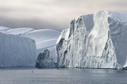 Groenland, cote ouest, baie de Disko, Ilulissat, fjord glacé classé Patrimoine Mondial de l'UNESCO qui est l’embouchure maritime du glacier Sermeq Kujalleq