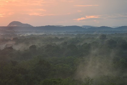 Sri Lanka, Central Province, Matale District, Sigiriya, Old city of Sigiriya listed as World Heritage by UNESCO, view of the surrounding landscape