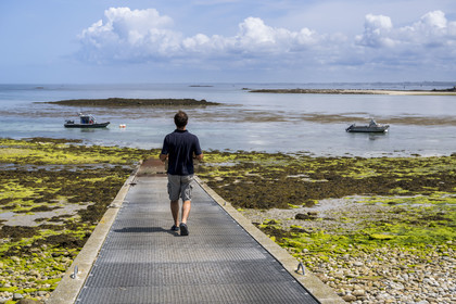France, Finistère (29), Mer d'Iroise, archipel de Molène, Ile de Quéménès, ferme de Quéménès bio et autonome en énergie, l'agriculteur Etienne Menguy