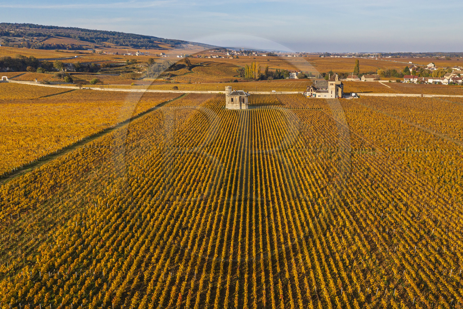 France, Côte-d'Or (21), Paysage culturel des climats de Bourgogne classés Patrimoine Mondial de l'UNESCO, Vougeot, Route des Grands Crus, le vignoble du chateau du Clos de Vougeot, le chateau de la Tour (vue aérienne)