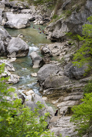 France, Alpes de Haute Provence, Parc Naturel Régional du Verdon, Rougon, Grand Canyon of Verdon, Canyoning in the Verdon River and the cliffs of the Samson corridor, seen from the trail sentier Blanc-Martel on the GR4