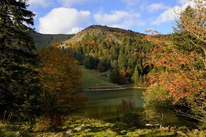 France, Haut-Rhin (68), en contrebas de la route des Crêtes, le lac des Truites ou lac du Forlet, situé dans un ancien cirque glaciaire au pied du massif du Tanet