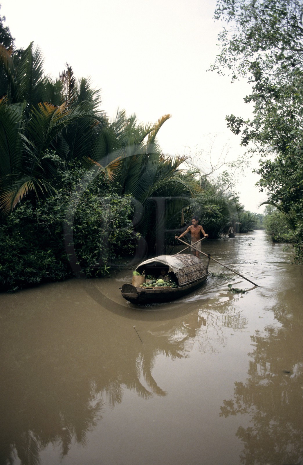Vietnam, delta du Mékong, pirogue à Can Tho