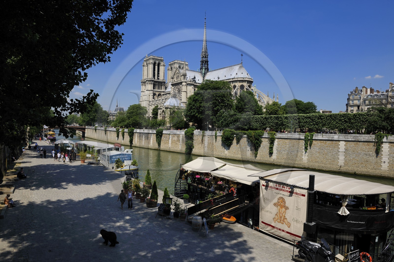 France, Paris (75), les rives de la Seine classées Patrimoine Mondial de l'UNESCO, île de la Cité, la cathédrale Notre-Dame