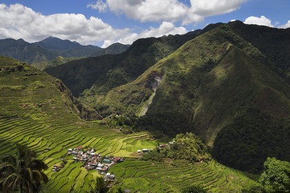 Philippines, province d'Ifugao, les rizières en terrasses de Banaue autour du village de Batad, classées Patrimoine Mondial de l'UNESCO, alimentées par un ancien système d'irrigation depuis la forêt tropicale au-dessus des terrasses
