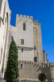 France, Vaucluse (84), Avignon, Palais des Papes classé Patrimoine mondial de l'UNESCO, la tour de la Garde-Robe directement accolée au sud de la tour des Anges ou tour du Pape