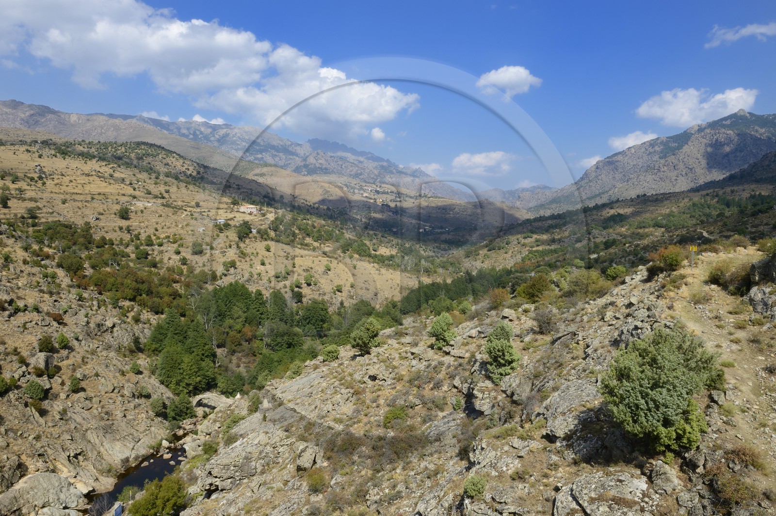 France, Haute-Corse (2B), la vallée du Niolu (Niolo)