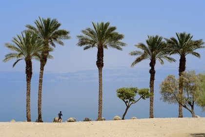 Israel, Southern District, Ein Gedi Beach on the Dead Sea