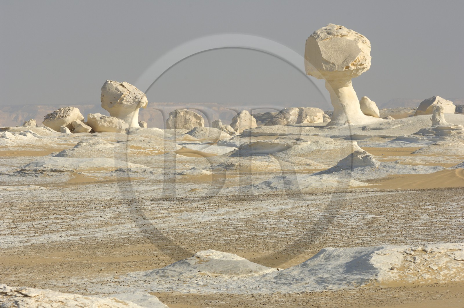 Egypte, désert libyque, le Désert Blanc au nord de Farafra