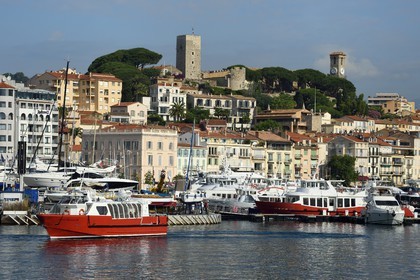 France, Alpes-Maritimes (06), Cannes, le port et la vieille ville dans le quartier Le Suquet, à son sommet la Tour du Suquet et le clocher de l'église Notre-Dame-de-l'Espérance