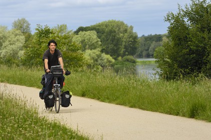 France, Indre et Loire, cycle track on Cher river banks between Savonnieres and Villandry