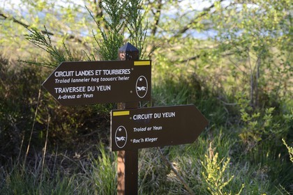 France, Finistere, Parc Naturel Regional d'Armorique (Armorica Regional Natural Park), Monts d'Arree, the marsh Yeun-Elez