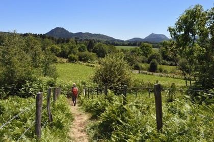 France, Puy-de-Dôme (63), Le Bouchet, Parc naturel régional des Volcans d'Auvergne, randonneuse sur le sentier des puys de Jumes et de la Coquille, en arrière plan le volcan le Puy Chopine à gauche et le Puy de Dome à droite