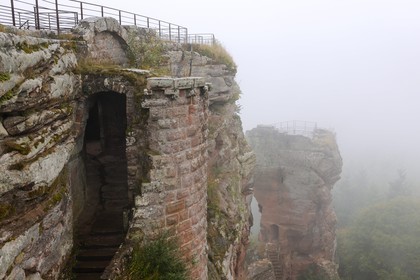 France, Bas Rhin, Lembach, Fleckenstein Castle