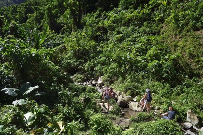 Caraïbes, Ile de la Dominique, randonneurs sur le segment 13 du Waitukubuli National Trail dans le nord de l'île entre Pennville et Capuchin