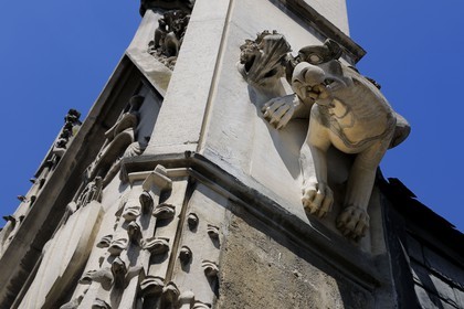France, Paris (75), musée du Moyen-Age, ancien hôtel de Cluny, chimère