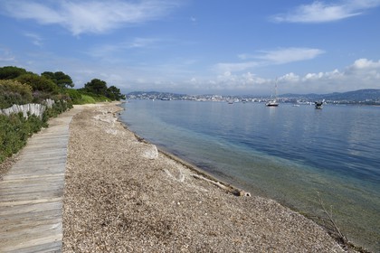 France, Alpes-Maritimes (06), Cannes, Iles de Lérins, Ile Sainte-Marguerite, la plage du Batéguier recouverte de posidonie