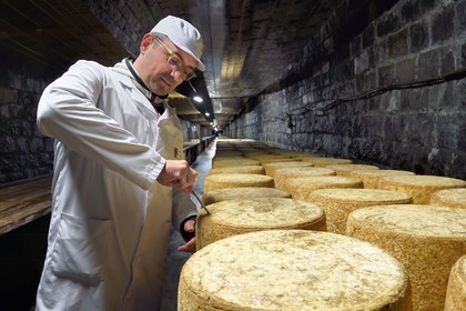 France, Cantal (15), La Chapelle-Laurent, cave d'affinage pour les fromages Marcel Charrade dans l'ancien tunnel ferroviaire de la ligne Saint-Flour - Brioude long d’un kilomètre, le directeur et maitre-affineur Géraud Brunhes procède au carottage d'une meule de fromage Cantal pour vérifier sa maturation