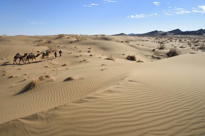 Iran, Isfahan province, Dasht-e Kavir desert, Mesr in Khur and Biabanak County, camel train in the dunes in a camel trek