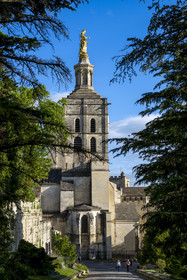 France, Vaucluse (84), Avignon, la cathédrale des Doms classée Patrimoine mondial de l'UNESCO