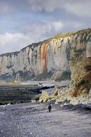France, Seine-Maritime, Cote d'Albatre, Yport, a fisherman walking on the beach at low tide under the cliffs