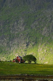 Norway, Nordland County, Lofoten Islands, Flakstad island, small farm